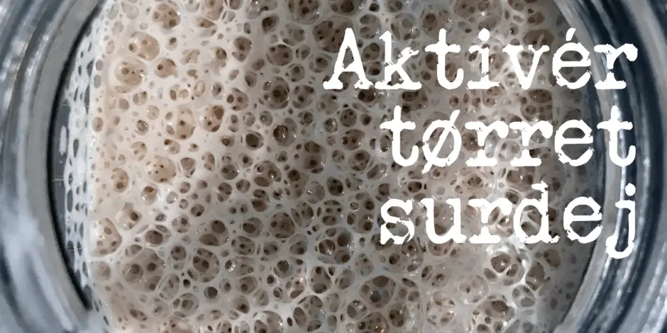 Aktivér tørret surdej