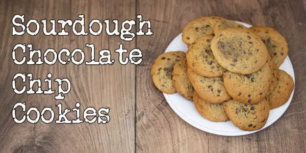 Sourdough Chocolate Chip Cookie Recipe